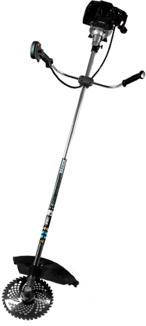 catalog